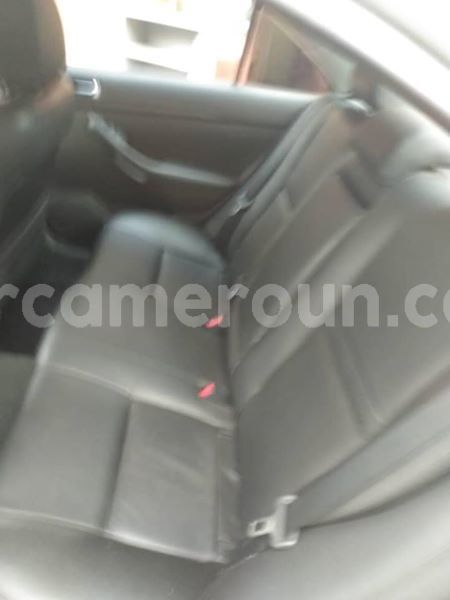 Big with watermark 47685970 156245818676461 157156637226827776 n