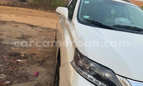 Acheter Occasion Voiture Lexus RX 350 Blanc à Yaoundé, Central Cameroon Acheter Occasion Voiture Lexus RX 350 Blanc à Yaoundé, Central Cameroon