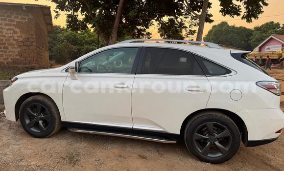 Acheter Occasion Voiture Lexus RX 350 Blanc à Yaoundé, Central Cameroon Acheter Occasion Voiture Lexus RX 350 Blanc à Yaoundé, Central Cameroon