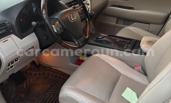 Acheter Occasion Voiture Lexus RX 350 Blanc à Yaoundé, Central Cameroon Acheter Occasion Voiture Lexus RX 350 Blanc à Yaoundé, Central Cameroon
