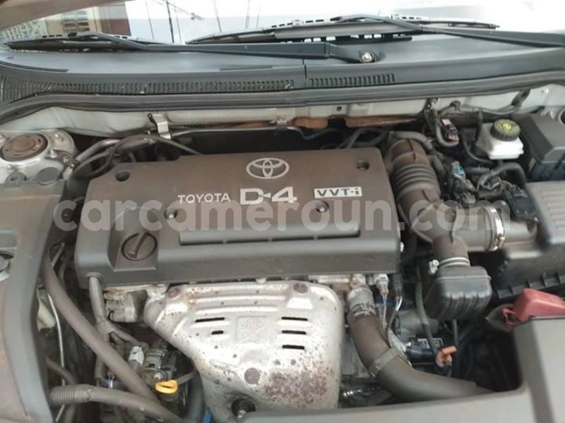 Big with watermark 47685914 156245715343138 7243020564367933440 o