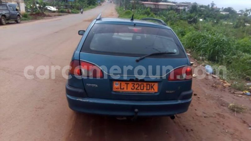 Big with watermark 48266886 158639648437078 3625061004662013952 n