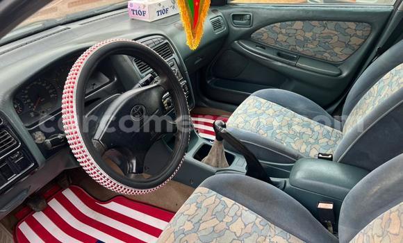Buy Used Toyota Avensis Green Car in Yaounde in Central Cameroon Buy Used Toyota Avensis Green Car in Yaounde in Central Cameroon