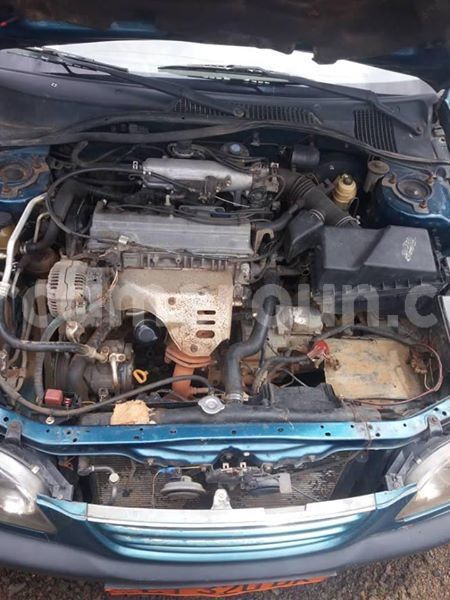 Big with watermark 48377112 158639855103724 3023151437258424320 n