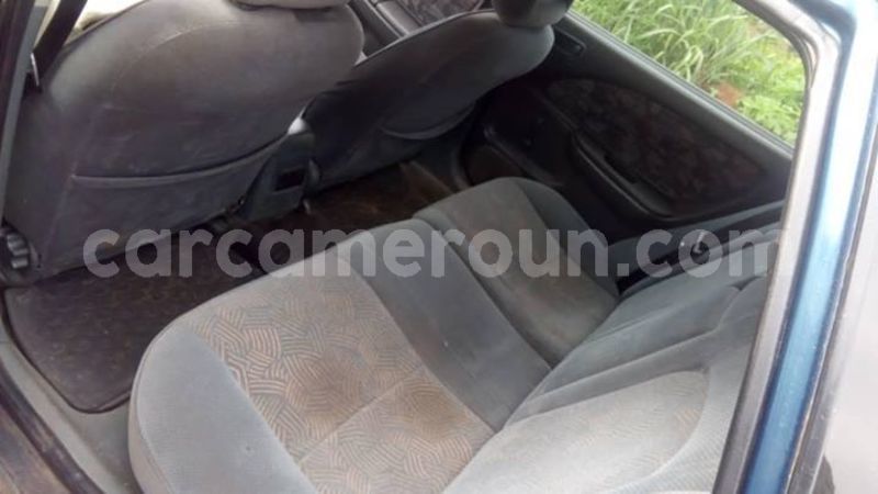 Big with watermark 48355462 158639795103730 8836073528441700352 n