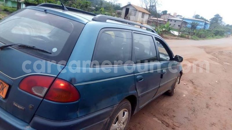 Big with watermark 48386655 158639681770408 5998739968594280448 n