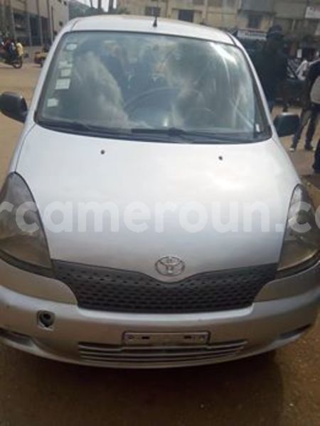 Big with watermark 48394296 158361341798242 4931591022472855552 n