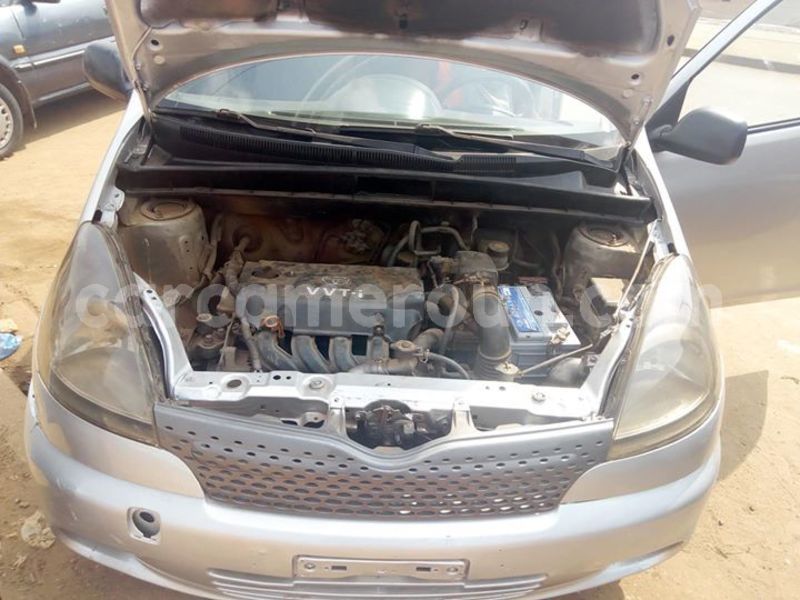 Big with watermark 48156173 158361698464873 9169271598002208768 o