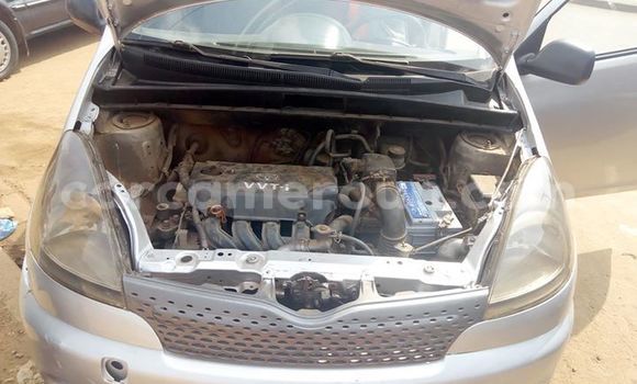 Buy Used Toyota Yaris Silver Car in Yaounde in Central Cameroon Buy Used Toyota Yaris Silver Car in Yaounde in Central Cameroon
