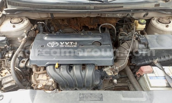 Acheter Occasion Voiture Toyota Corolla Gris à Yaoundé, Central Cameroon Acheter Occasion Voiture Toyota Corolla Gris à Yaoundé, Central Cameroon