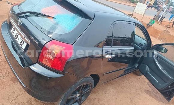 Buy Used Toyota Corolla Silver Car in Yaounde in Central Cameroon Buy Used Toyota Corolla Silver Car in Yaounde in Central Cameroon