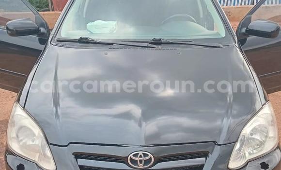 Buy Used Toyota Corolla Silver Car in Yaounde in Central Cameroon Buy Used Toyota Corolla Silver Car in Yaounde in Central Cameroon