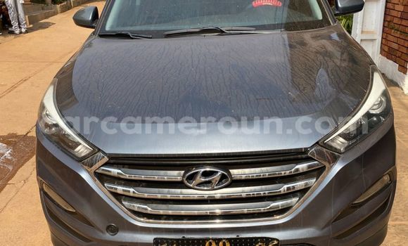 Buy Used Hyundai Tucson Silver Car in Yaounde in Central Cameroon Buy Used Hyundai Tucson Silver Car in Yaounde in Central Cameroon