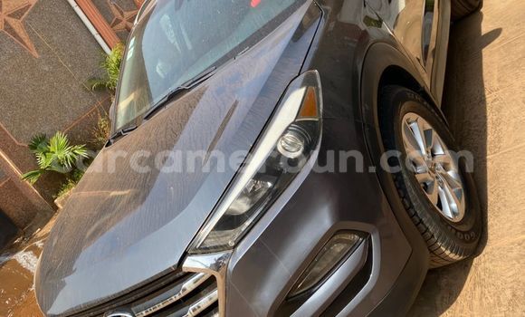 Buy Used Hyundai Tucson Silver Car in Yaounde in Central Cameroon Buy Used Hyundai Tucson Silver Car in Yaounde in Central Cameroon