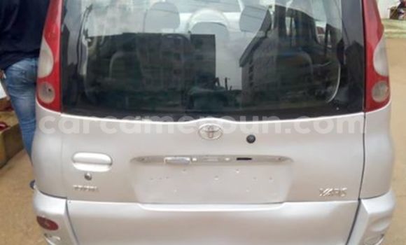 Buy Used Toyota Yaris Silver Car in Yaounde in Central Cameroon Buy Used Toyota Yaris Silver Car in Yaounde in Central Cameroon