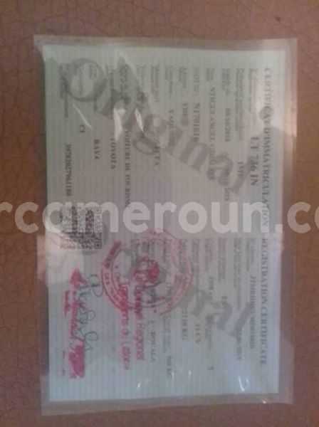 Big with watermark 48383060 157856611848715 7211566702088159232 n