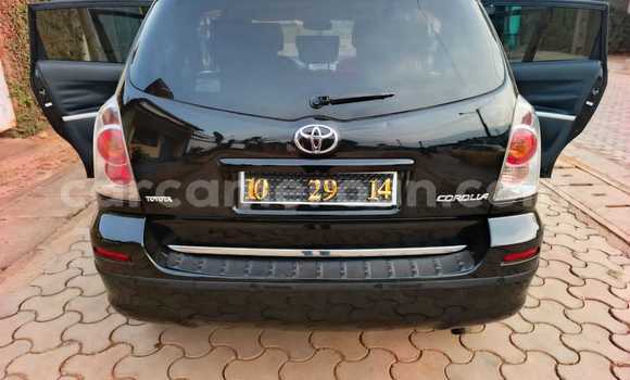 Buy Used Toyota Corolla Verso Black Car in Yaounde in Central Cameroon Buy Used Toyota Corolla Verso Black Car in Yaounde in Central Cameroon