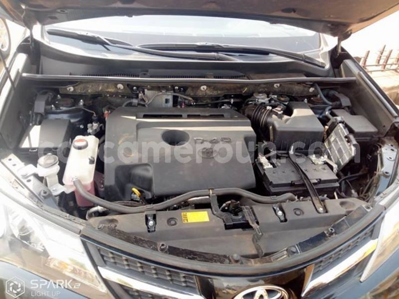 Big with watermark 48155239 157856488515394 2626448685633896448 o