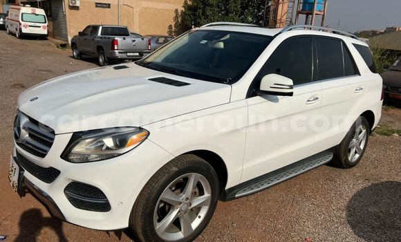 Buy Used Mercedes‒Benz GLE White Car in Yaounde in Central Cameroon Buy Used Mercedes‒Benz GLE White Car in Yaounde in Central Cameroon