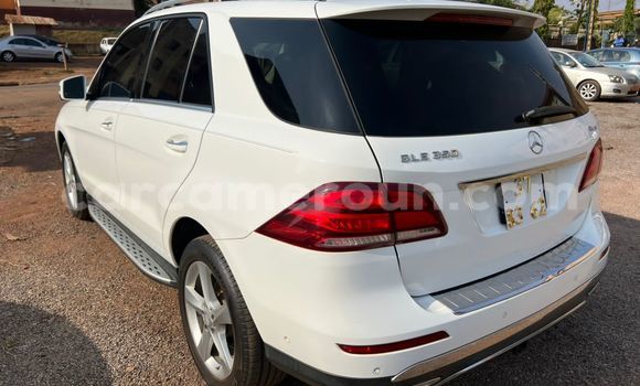 Buy Used Mercedes‒Benz GLE White Car in Yaounde in Central Cameroon Buy Used Mercedes‒Benz GLE White Car in Yaounde in Central Cameroon