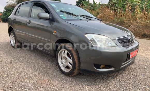 Acheter Occasion Voiture Toyota Corolla Gris à Yaoundé, Central Cameroon Acheter Occasion Voiture Toyota Corolla Gris à Yaoundé, Central Cameroon