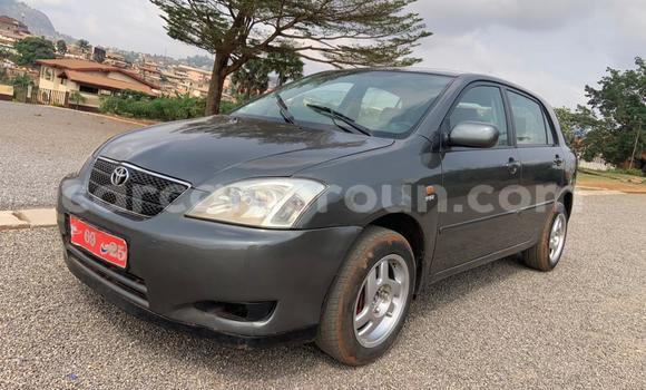 Acheter Occasion Voiture Toyota Corolla Gris à Yaoundé, Central Cameroon Acheter Occasion Voiture Toyota Corolla Gris à Yaoundé, Central Cameroon