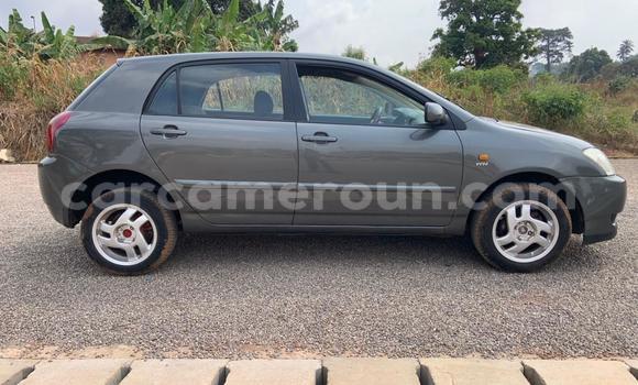 Acheter Occasion Voiture Toyota Corolla Gris à Yaoundé, Central Cameroon Acheter Occasion Voiture Toyota Corolla Gris à Yaoundé, Central Cameroon