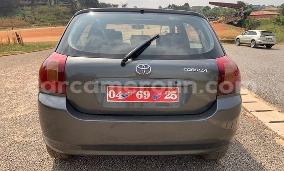 Acheter Occasion Voiture Toyota Corolla Gris à Yaoundé, Central Cameroon Acheter Occasion Voiture Toyota Corolla Gris à Yaoundé, Central Cameroon