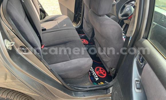 Acheter Occasion Voiture Toyota Corolla Gris à Yaoundé, Central Cameroon Acheter Occasion Voiture Toyota Corolla Gris à Yaoundé, Central Cameroon