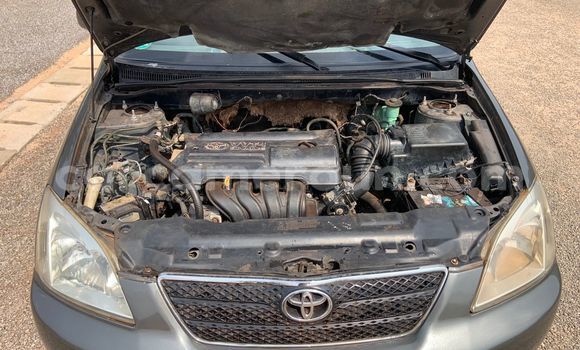 Acheter Occasion Voiture Toyota Corolla Gris à Yaoundé, Central Cameroon Acheter Occasion Voiture Toyota Corolla Gris à Yaoundé, Central Cameroon