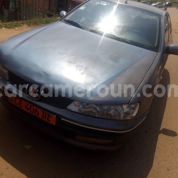 Big with watermark 47682526 158156108485432 7010436819590316032 n