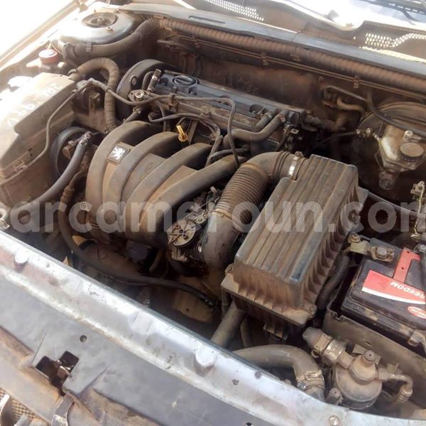 Big with watermark 48123047 158156248485418 5235368944012886016 n