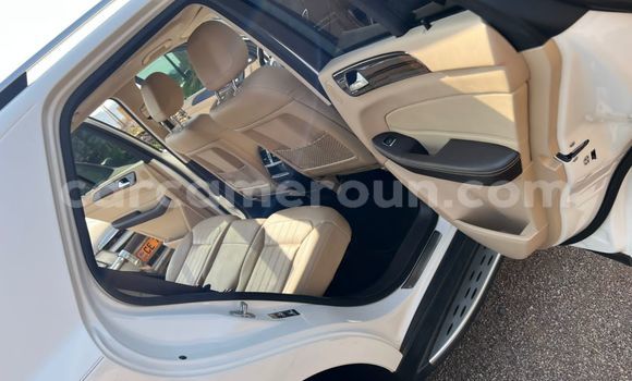 Buy Used Mercedes‒Benz GLE White Car in Yaounde in Central Cameroon Buy Used Mercedes‒Benz GLE White Car in Yaounde in Central Cameroon