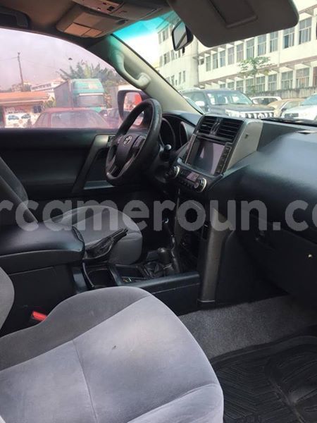 Big with watermark 48220555 158156221818754 2173272641689878528 n