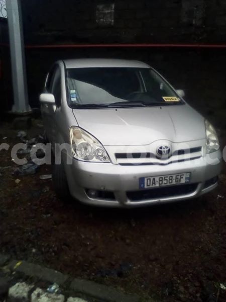 Big with watermark 48359751 157430205224689 7761185832936931328 n