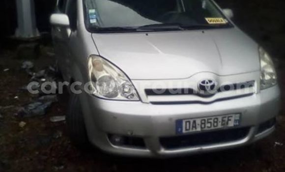 Buy Used Toyota Corolla Silver Car in Yaounde in Central Cameroon Buy Used Toyota Corolla Silver Car in Yaounde in Central Cameroon
