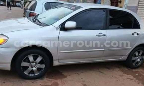 Acheter Occasion Voiture Toyota Corolla Autre à Douala, Littoral Cameroon