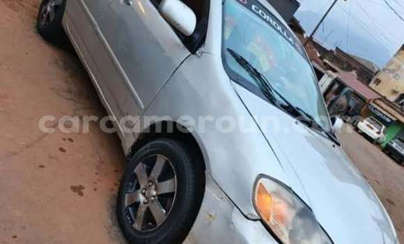 Acheter Occasion Voiture Toyota Corolla Autre à Douala, Littoral Cameroon Acheter Occasion Voiture Toyota Corolla Autre à Douala, Littoral Cameroon