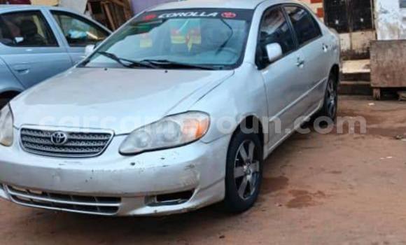 Acheter Occasion Voiture Toyota Corolla Autre à Douala, Littoral Cameroon Acheter Occasion Voiture Toyota Corolla Autre à Douala, Littoral Cameroon