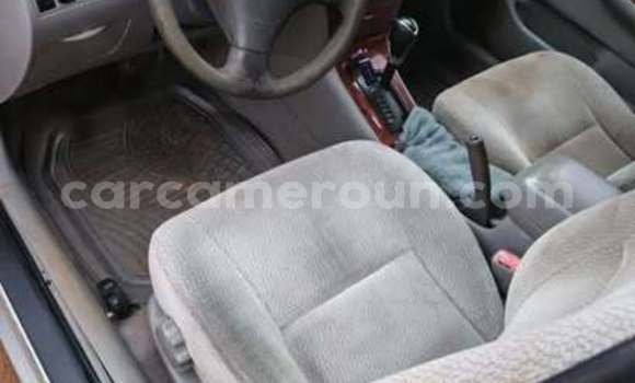 Acheter Occasion Voiture Toyota Corolla Autre à Douala, Littoral Cameroon Acheter Occasion Voiture Toyota Corolla Autre à Douala, Littoral Cameroon