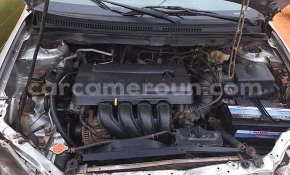 Acheter Occasion Voiture Toyota Corolla Autre à Douala, Littoral Cameroon Acheter Occasion Voiture Toyota Corolla Autre à Douala, Littoral Cameroon