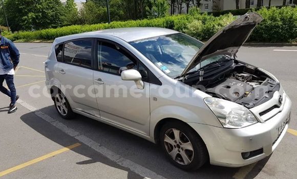Buy Used Toyota Corolla Silver Car in Yaounde in Central Cameroon Buy Used Toyota Corolla Silver Car in Yaounde in Central Cameroon