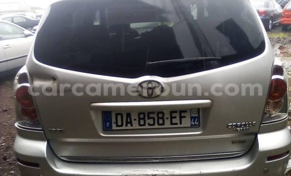 Buy Used Toyota Corolla Silver Car in Yaounde in Central Cameroon Buy Used Toyota Corolla Silver Car in Yaounde in Central Cameroon