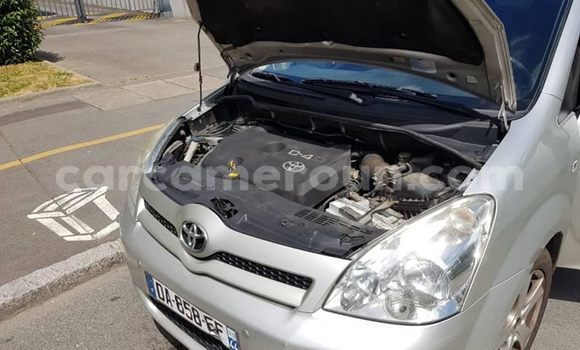 Buy Used Toyota Corolla Silver Car in Yaounde in Central Cameroon Buy Used Toyota Corolla Silver Car in Yaounde in Central Cameroon