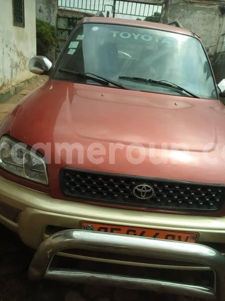 Big with watermark 48364721 157142891920087 5985804407567024128 n