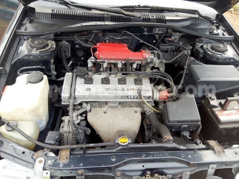 Big with watermark 48088542 156635365304173 1478405142888841216 o