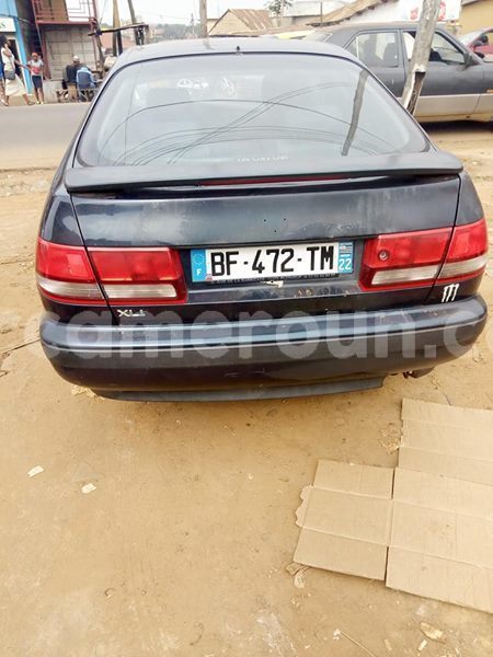 Big with watermark 48241590 156635071970869 7108201717040152576 n