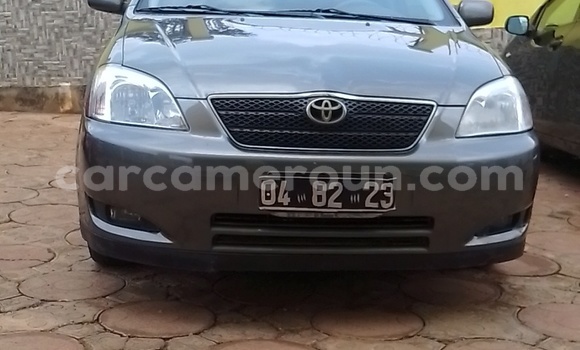 Acheter Occasion Voiture Toyota Corolla Gris à Yaoundé, Central Cameroon Acheter Occasion Voiture Toyota Corolla Gris à Yaoundé, Central Cameroon
