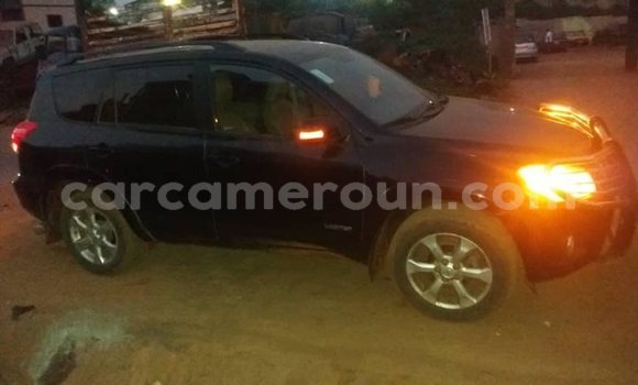 Buy Used Toyota RAV4 Black Car in Yaounde in Central Cameroon Buy Used Toyota RAV4 Black Car in Yaounde in Central Cameroon