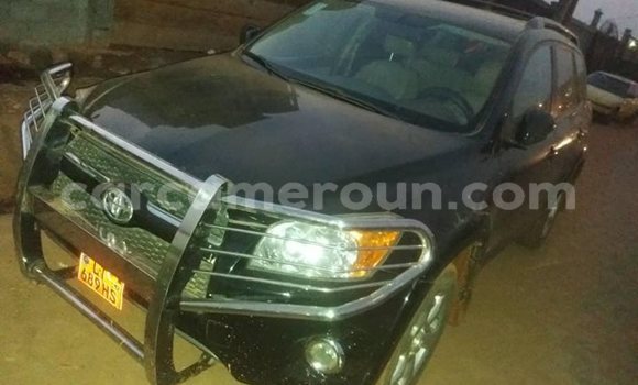 Buy Used Toyota RAV4 Black Car in Yaounde in Central Cameroon Buy Used Toyota RAV4 Black Car in Yaounde in Central Cameroon